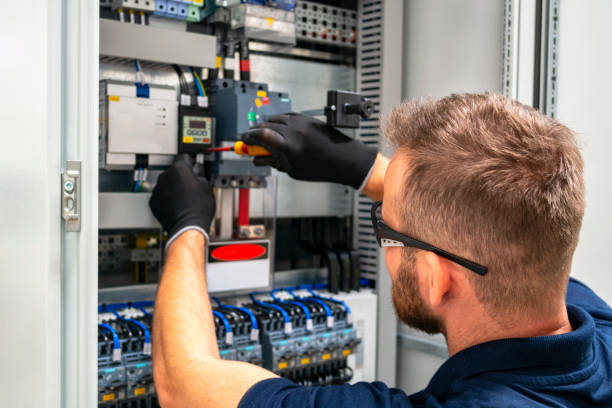 Best Electric Panel Repair  in Spring Hill, KS